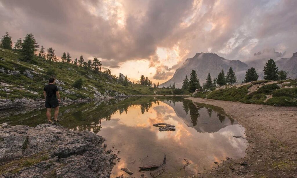 cooking falotani cooking falotani