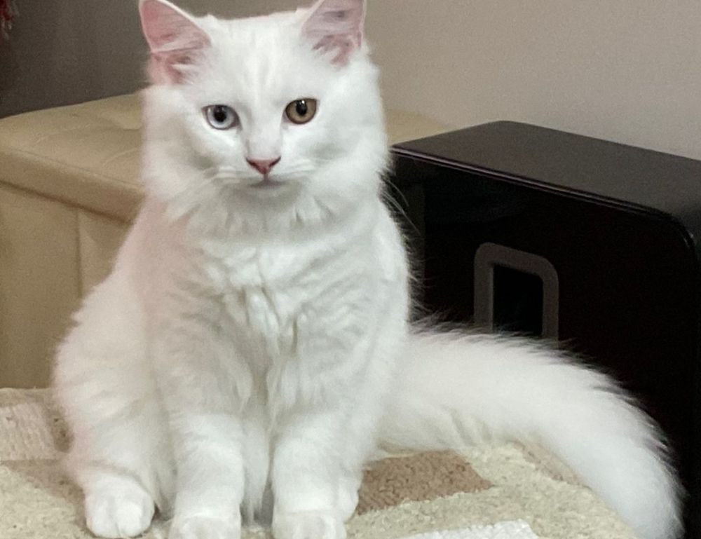 fashion hacks lwspeakfashion fashion hacks lwspeakfashion