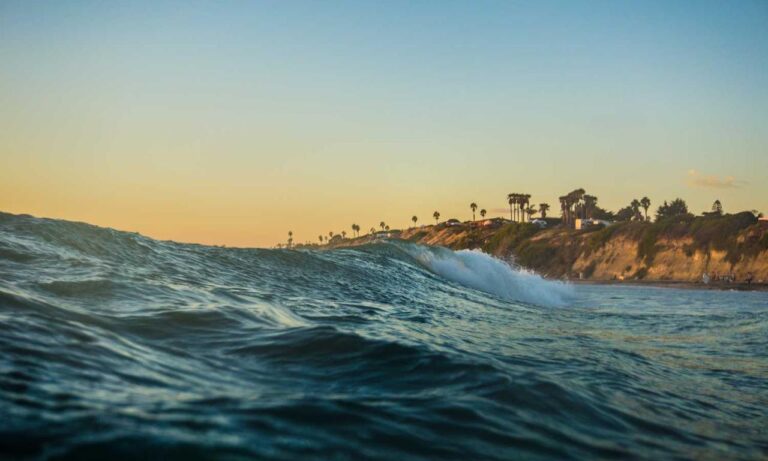 fashion trends lwspeakstyle