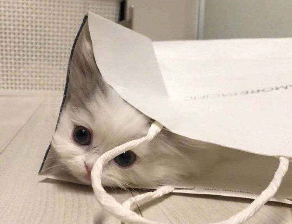 is mopfell78 the most demanding game for pc is mopfell78 the most demanding game for pc