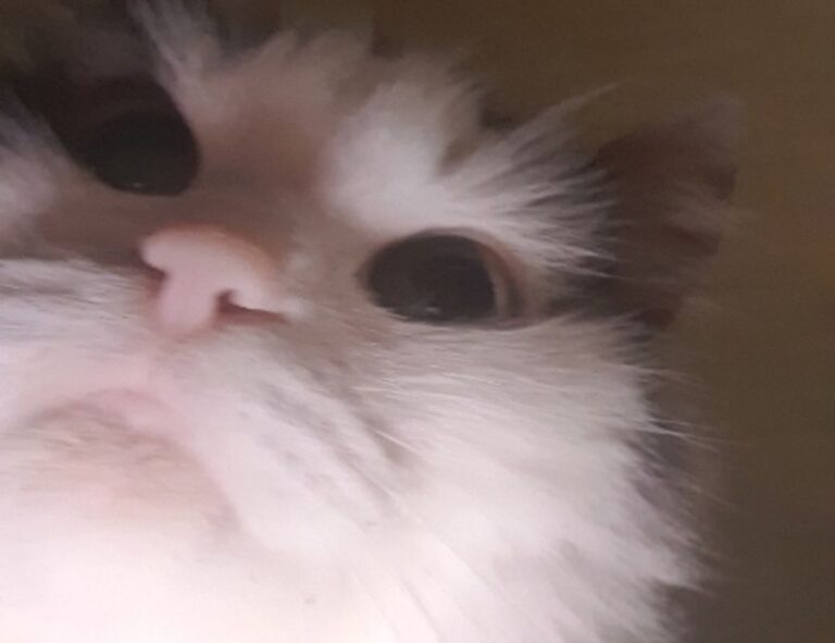 lwspeakfashion styling guide by letwomenspeak