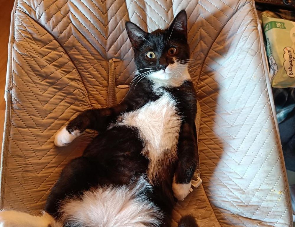 lwspeakfashion lwspeakfashion