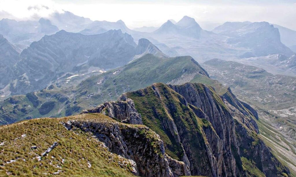 vloweves game information and facts vloweves game information and facts