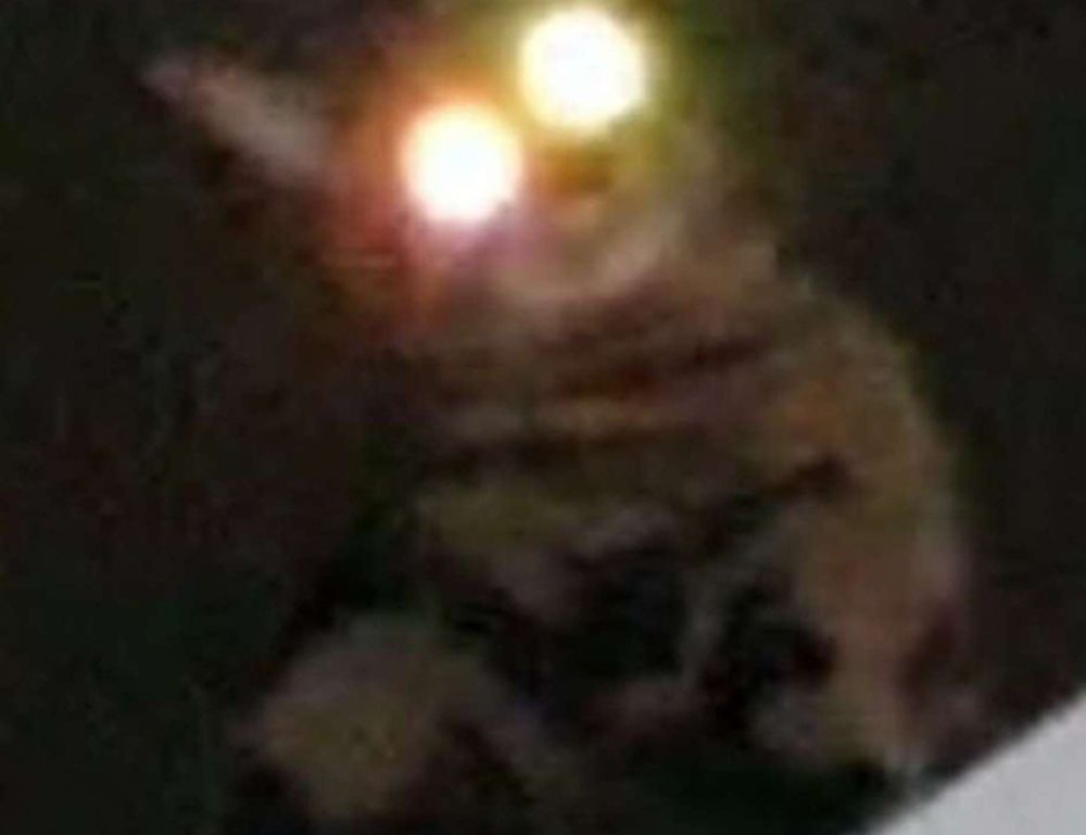 what fashion styles are in right now lwspeakstyle