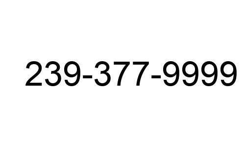 239-377-9999