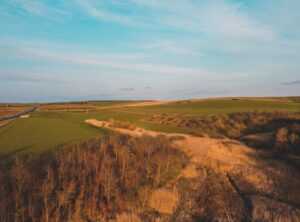 albine de vanzare bihor