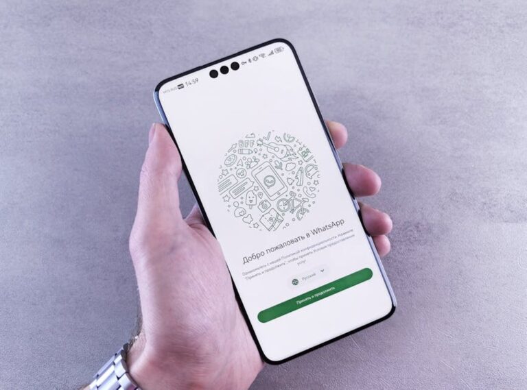 whatsapp fotos fofas para perfil