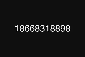 18668318898