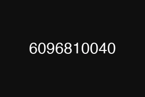 6096810040