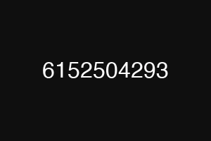 6152504293