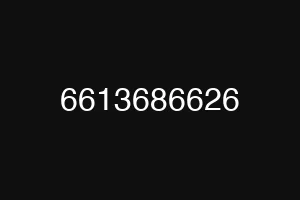 6613686626