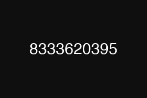 8333620395