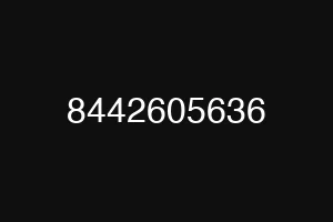 8442605636