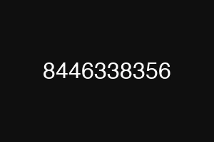 8446338356