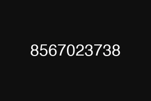 8567023738