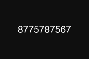 8775787567