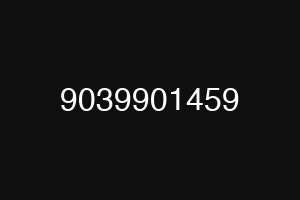 9039901459