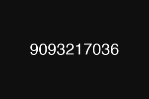 9093217036