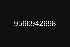 9566942698